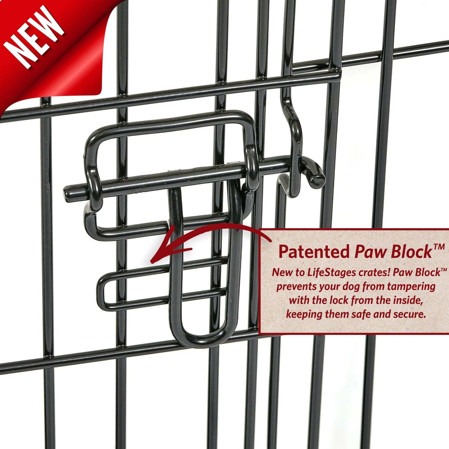 Homes for Pets LifeStages 36 Inch Double Door Folding Dog Crate with Divider Panel and Dog Pan